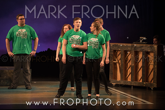 Skylight HSM16 Oak Creek Song of Love-4