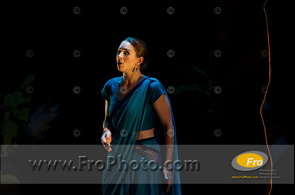 Skylight Fidelio Preview 039