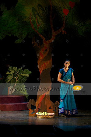 Skylight Fidelio Preview 011