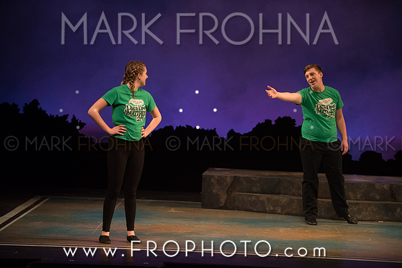 Skylight HSM16 Oak Creek Song of Love-3