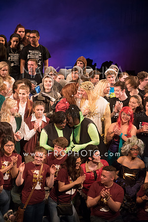 Skylight HSM16 Bows-13