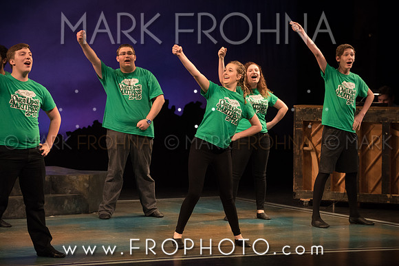 Skylight HSM16 Oak Creek Song of Love-17