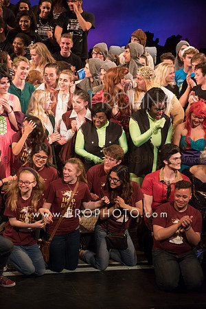 Skylight HSM16 Bows-19