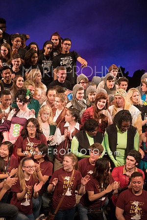 Skylight HSM16 Bows-10