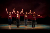 Skylight HSM16 Reagan Elegance-17