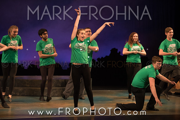 Skylight HSM16 Oak Creek Song of Love-27