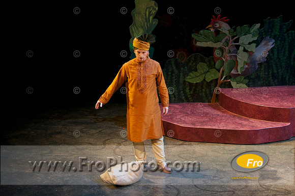 Skylight Fidelio Preview 009