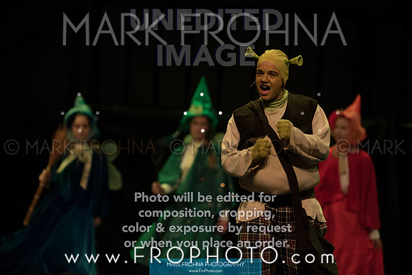 BCA Shrek 2016-42