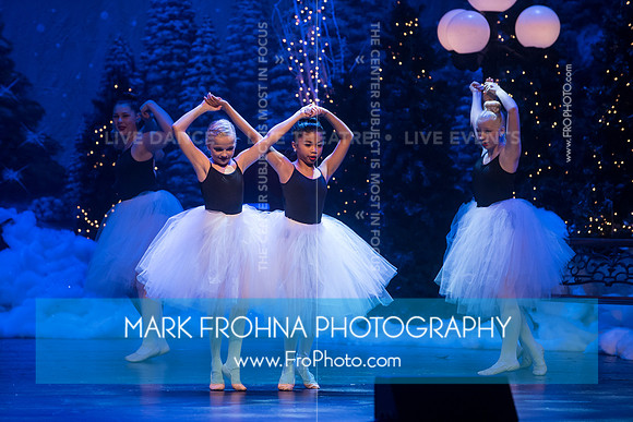 BCA Nov16 PPC Flowers-63