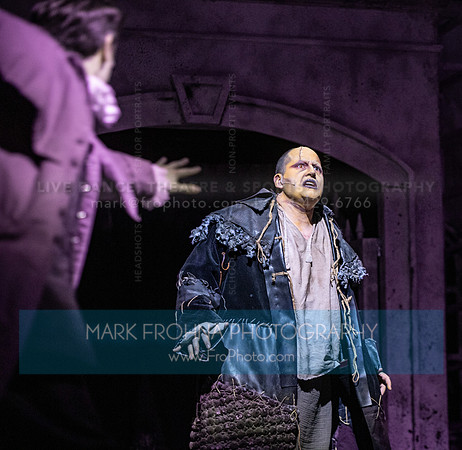 Skylight Frankenstein Highlights-20