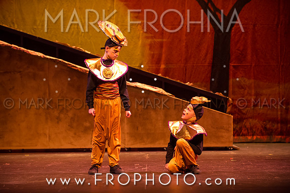 Brook El Lion King-41