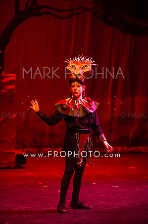 Brook El Lion King-28