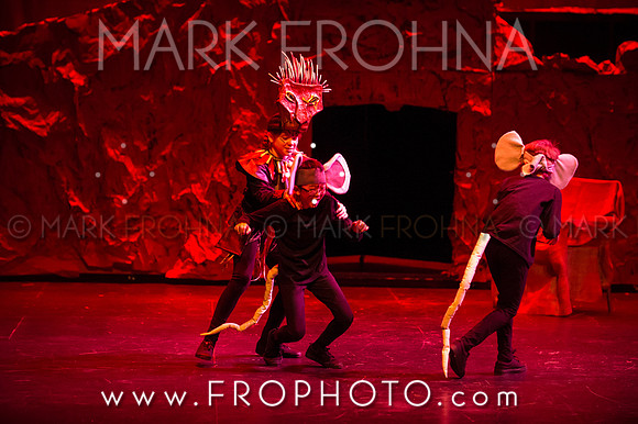 Brook El Lion King-22