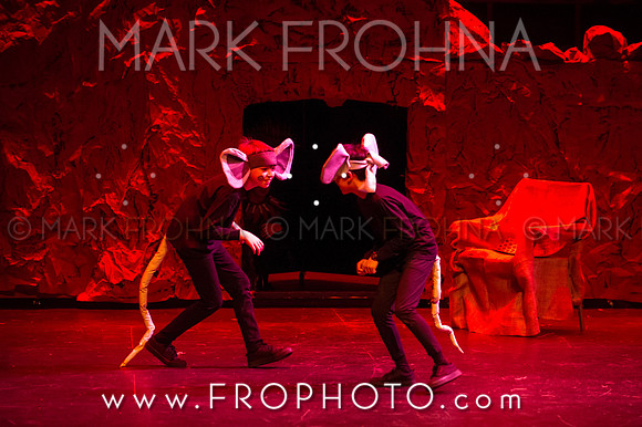 Brook El Lion King-21