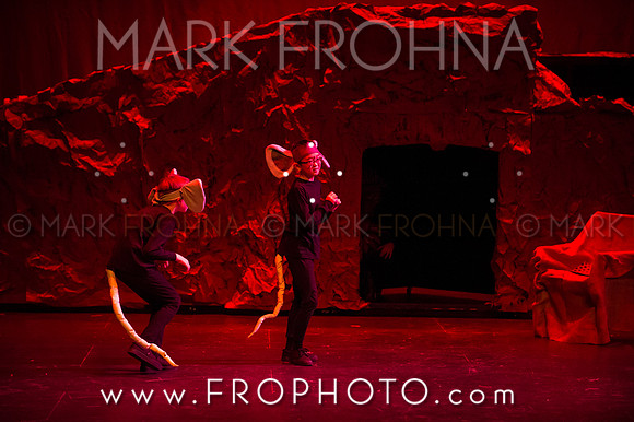 Brook El Lion King-20