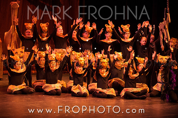 Brook El Lion King-19