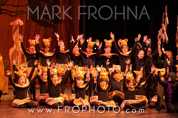 Brook El Lion King-16