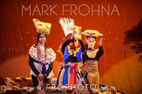 Brook El Lion King-15
