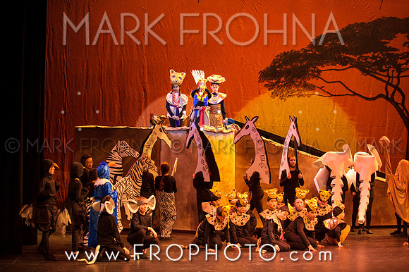 Brook El Lion King-14