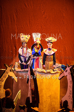 Brook El Lion King-13