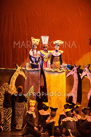 Brook El Lion King-12