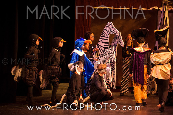 Brook El Lion King-9