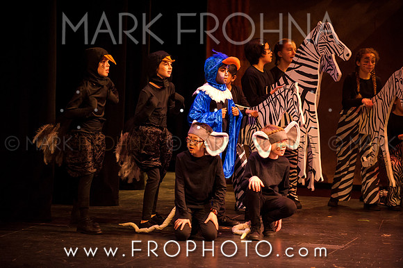 Brook El Lion King-7