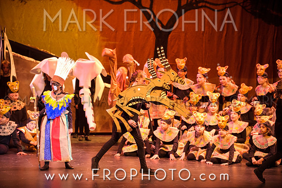 Brook El Lion King-6
