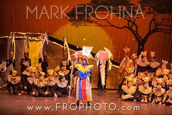 Brook El Lion King-4