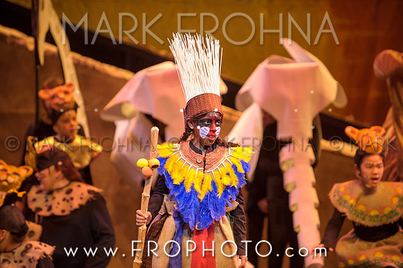 Brook El Lion King-3