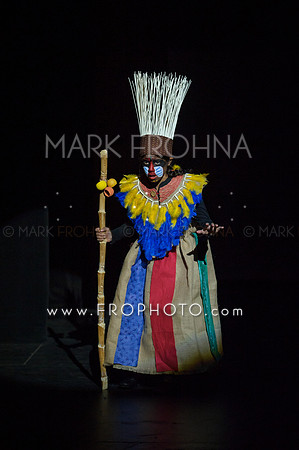 Brook El Lion King-1