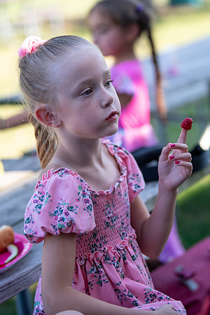 BRIO Barbie Picnic 2023-34