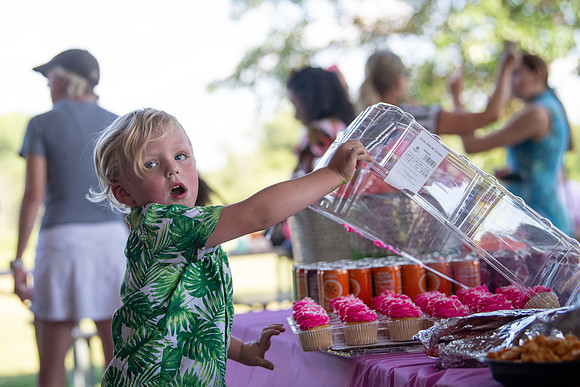BRIO Barbie Picnic 2023-14