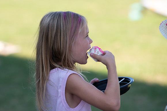 BRIO Barbie Picnic 2023-57