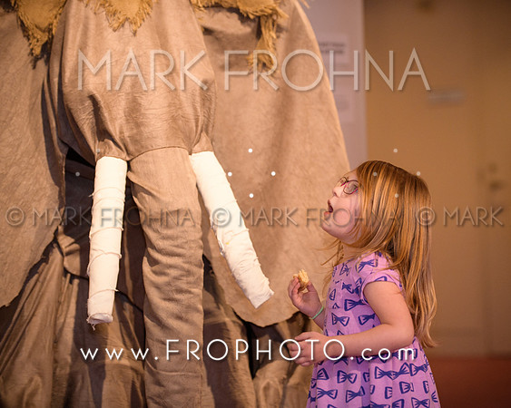 Overture Center 2017 Puppet Festival-85