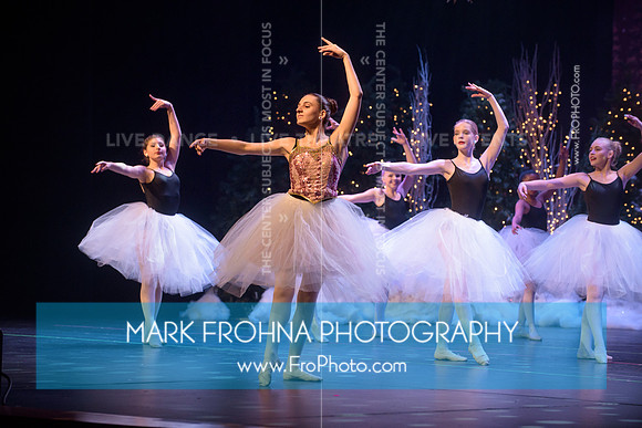 BCA Nov16 PPC Flowers-130