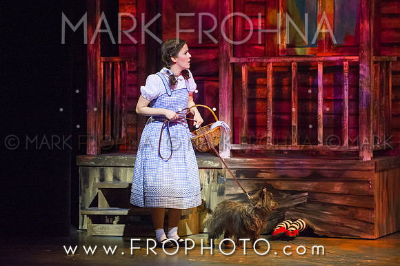 Skylight Wizard of Oz Selects-1