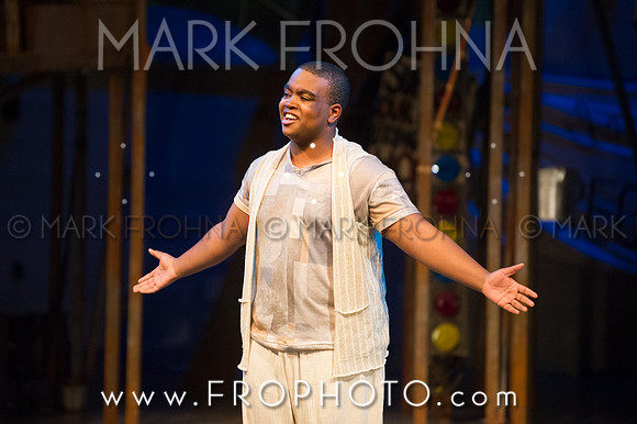 Skylight HSM 2014-95