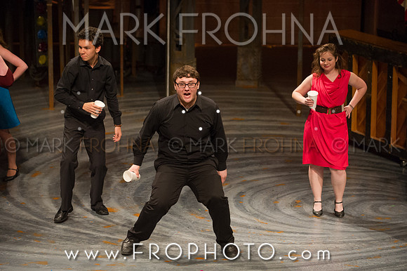 Skylight HSM 2014-81