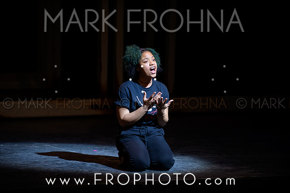 Skylight HSM 2017 MHSA-18