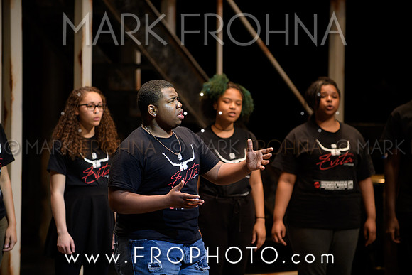 Skylight HSM 2017 MHSA-5
