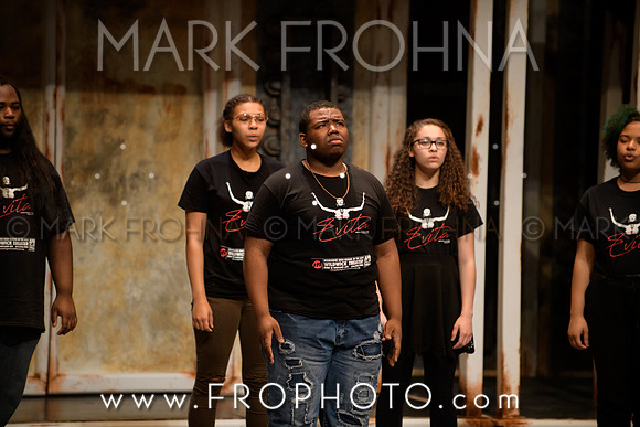 Skylight HSM 2017 MHSA-1