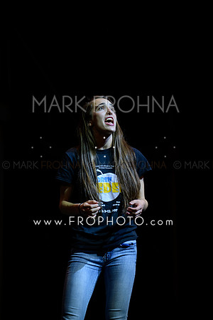 Skylight HSM 2017 STM-16