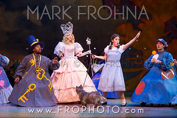 Skylight Wizard of Oz Selects-2