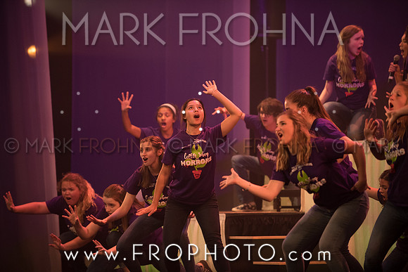 Tommy Awards 2017 Tosa West Little Shop-47