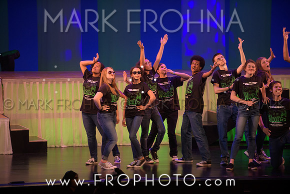 Tommy Awards 2017 Verona Into the Woods-63