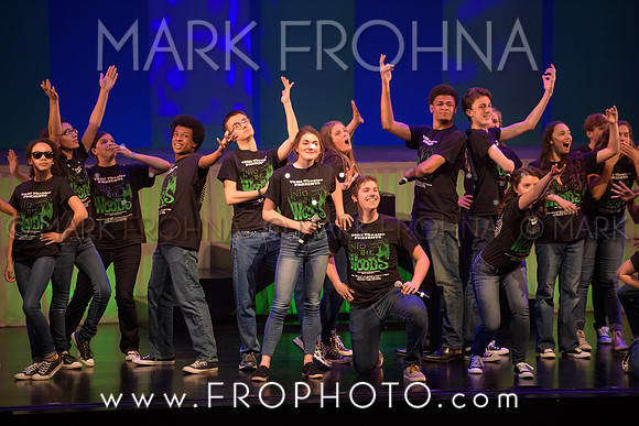 Tommy Awards 2017 Verona Into the Woods-64