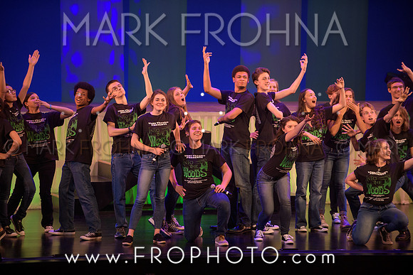 Tommy Awards 2017 Verona Into the Woods-62