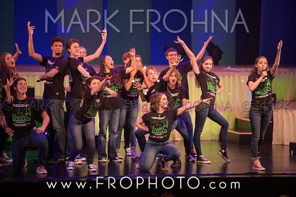 Tommy Awards 2017 Verona Into the Woods-61