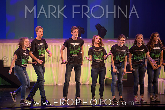 Tommy Awards 2017 Verona Into the Woods-53